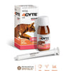 4CYTE Epiitalis Forte Joint Health Support Gel for Cats 50mL-Habitat Pet Supplies