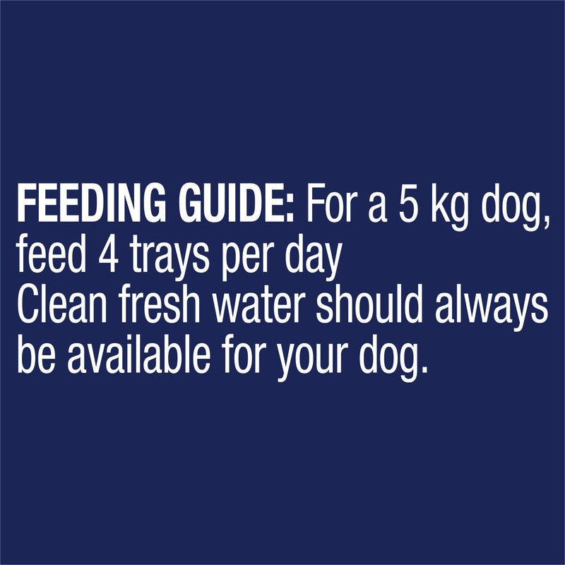 Advance Casserole with Salmon All Breed Adult Dog Wet Food 100g