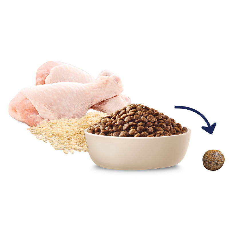 Advance Chicken and Rice Medium Breed Puppy Dry Food 3kg~~~