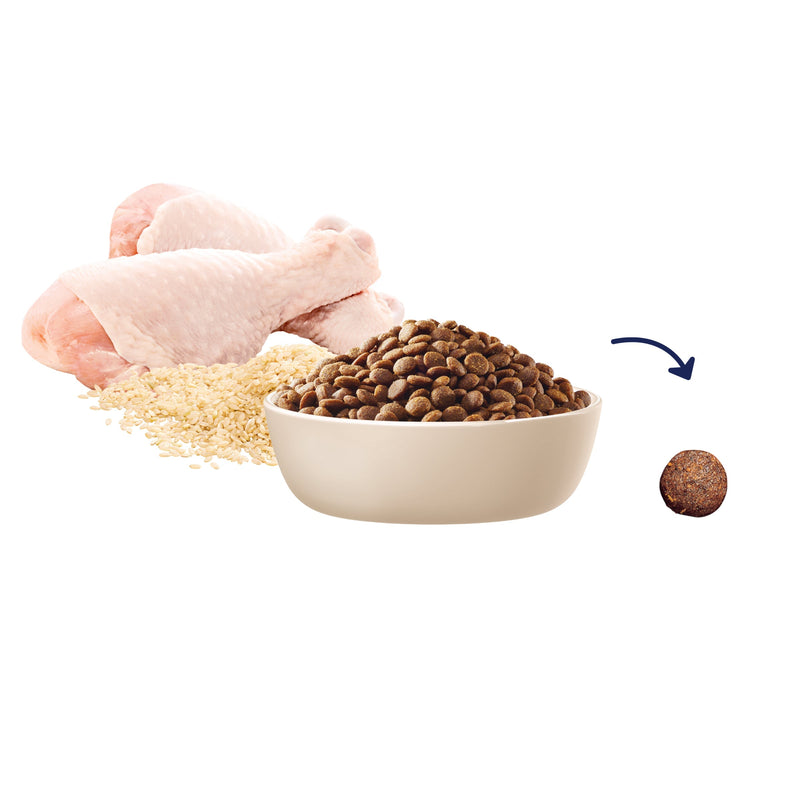 Advance Chicken and Rice Medium Breed Puppy Dry Food 800G