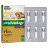 Advantage Flea Treatment for Cats 4kg Purple 6 Pack^^^-Habitat Pet Supplies