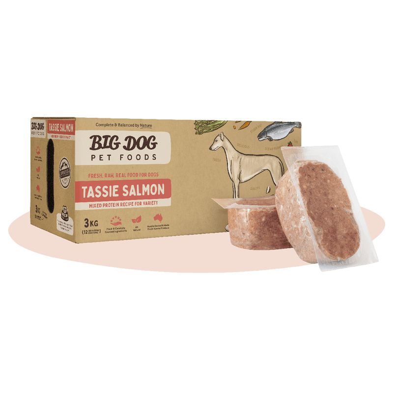 Big Dog BARF Tasmanian Salmon Raw Dog Food 3kg-Habitat Pet Supplies