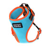 DOOG Neoflex Neoprene Beethoven Neon Blue and Orange Dog Harness Extra Large^^^