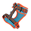 DOOG Neoflex Neoprene Beethoven Neon Blue and Orange Dog Harness Extra Large^^^