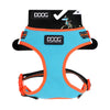 DOOG Neoflex Neoprene Beethoven Neon Blue and Orange Dog Harness Extra Large^^^-Habitat Pet Supplies