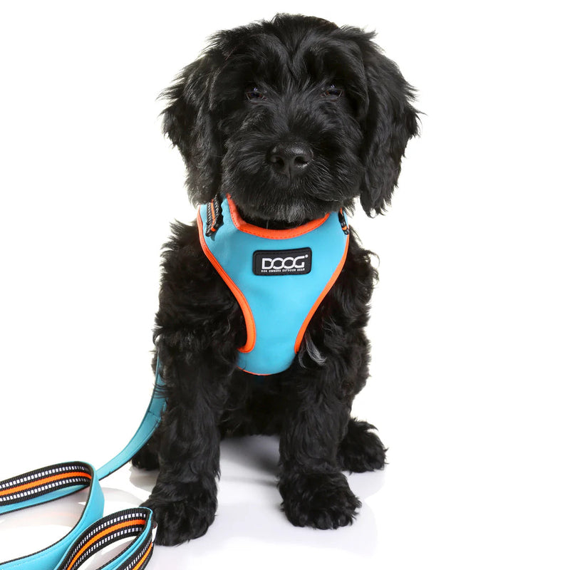 DOOG Neoflex Neoprene Beethoven Neon Blue and Orange Dog Harness Large^^^