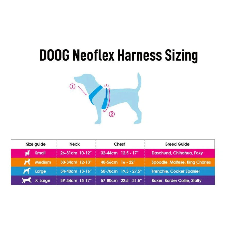 DOOG Neoflex Neoprene Beethoven Neon Blue and Orange Dog Harness Medium^^^