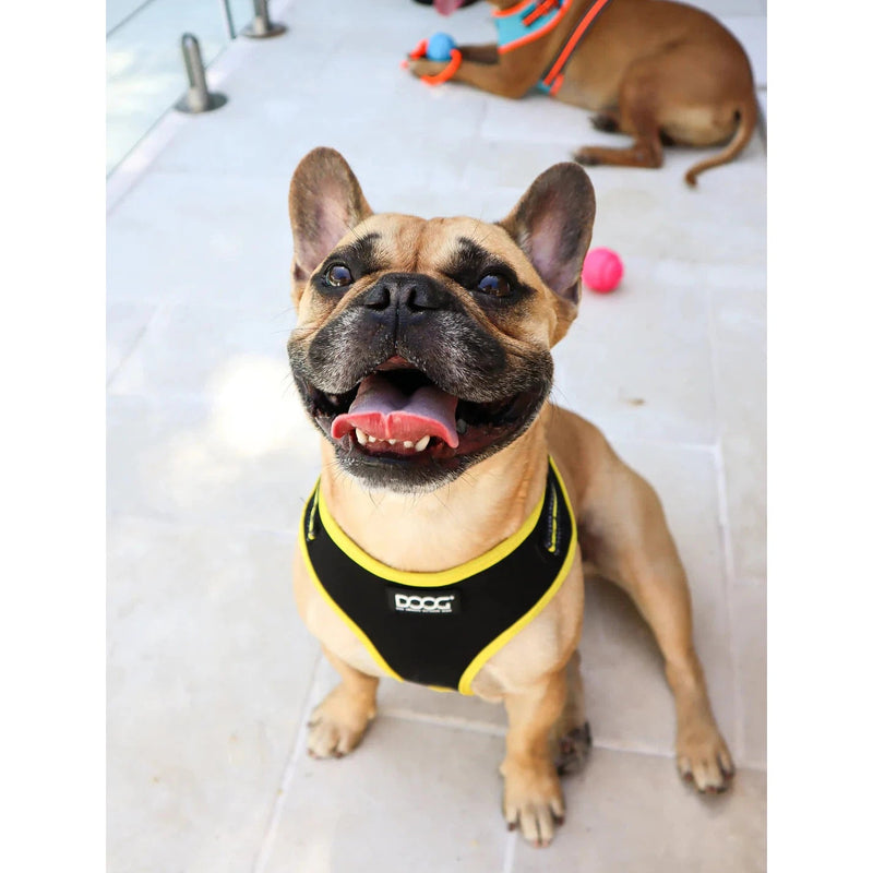 DOOG Neoflex Neoprene Bolt Neon Black and Yellow Dog Harness Small