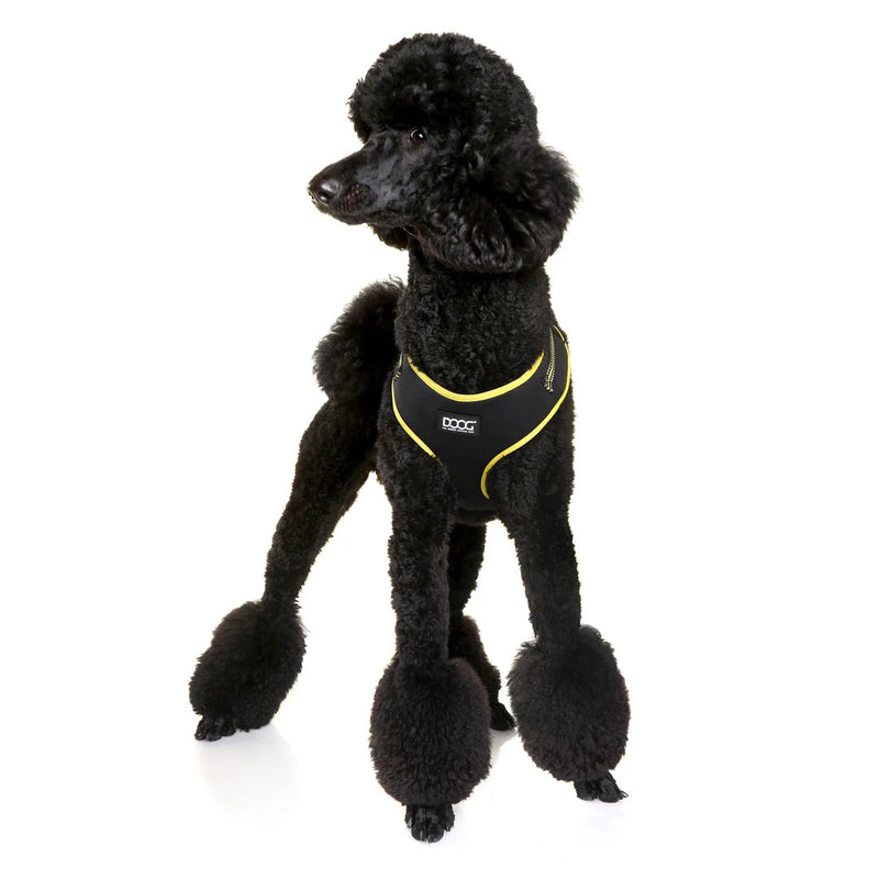 DOOG Neoflex Neoprene Bolt Neon Black and Yellow Dog Harness Small