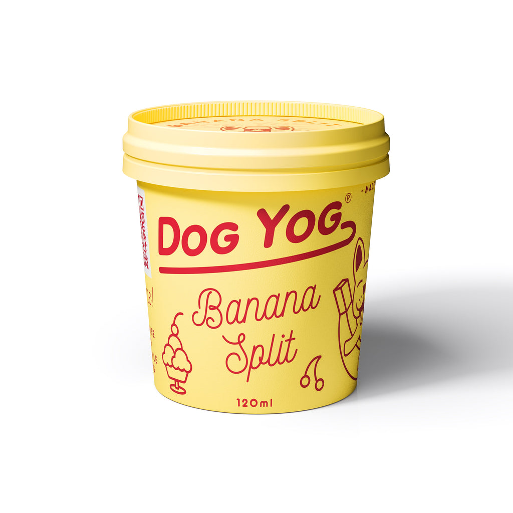 Dog Yog Frozen Banana Split Dog Ice Cream Treat 120ml-Habitat Pet Supplies