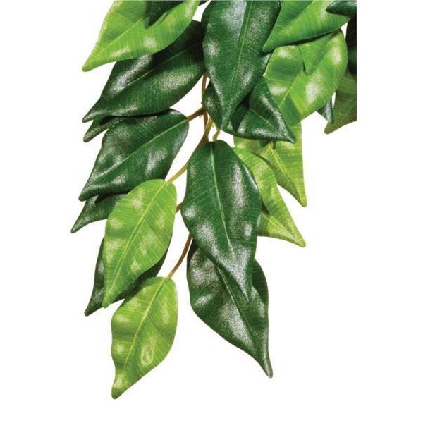 Exo Terra Forest Plant Ficus Large-Habitat Pet Supplies