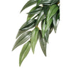 Exo Terra Forest Plant Ruscus Large^^^-Habitat Pet Supplies