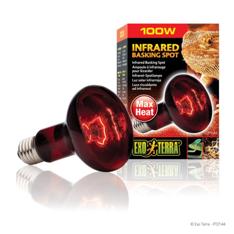 Exo Terra Heat Glo Infrared Basking Spot Lamp 100w-Habitat Pet Supplies