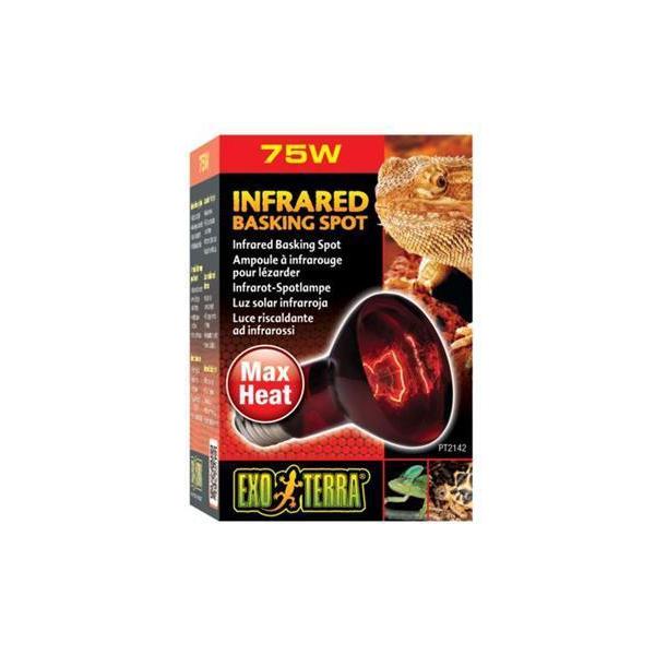 Exo Terra Heat Glo Infrared Heat Lamp 75w-Habitat Pet Supplies