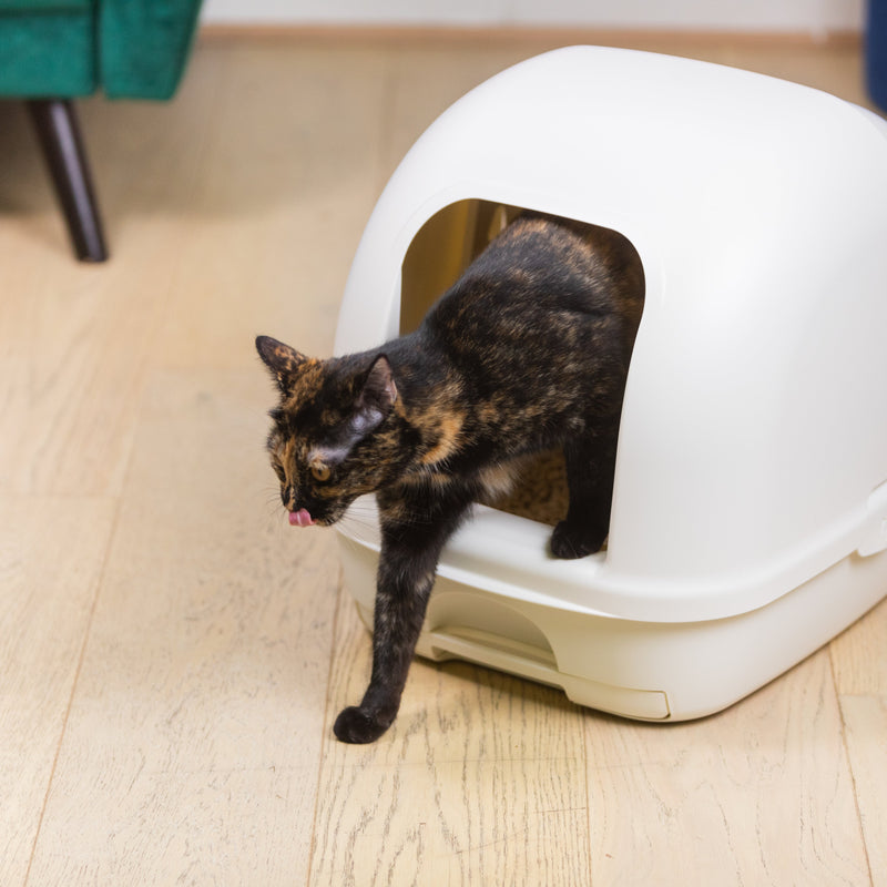 Ezi-LockOdour Dual Layer Cat Litter System Hooded Cat Litter Tray^^^