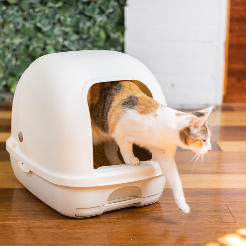 Ezi-LockOdour Dual Layer Cat Litter System Hooded Cat Litter Tray^^^