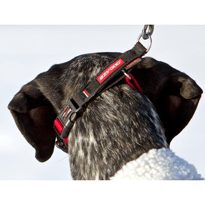 EZYDOG COLLAR CHECKMATE BLACK MEDIUM - Habitat Pet Supplies Altona & Chirnside Park