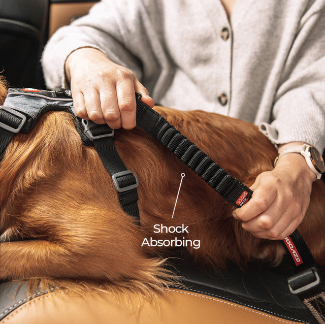 EzyDog Click Zero Shock Car Restraint for Dogs^^^