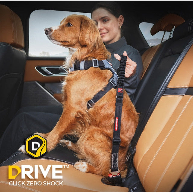 EzyDog Click Zero Shock Car Restraint for Dogs^^^