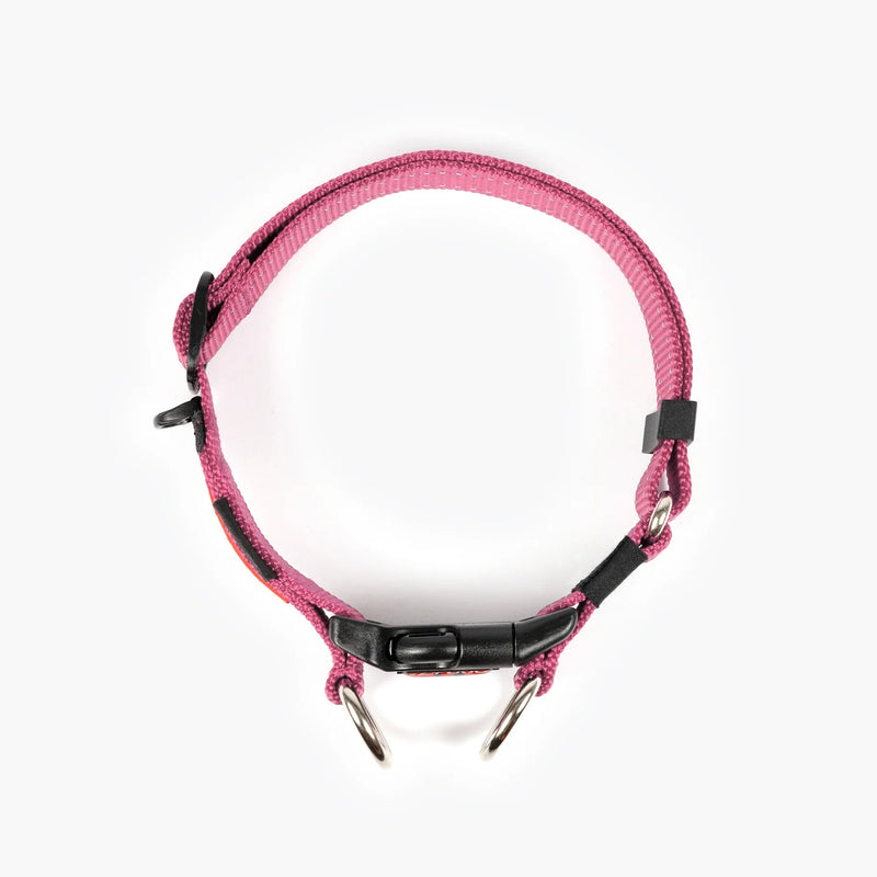 EzyDog Double Up Dog Collar Pink Extra Large^^^