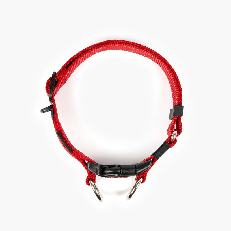 EzyDog Double Up Dog Collar Red Extra Large^^^