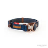 EzyDog Double Up Dog Collar Small Denim^^^-Habitat Pet Supplies