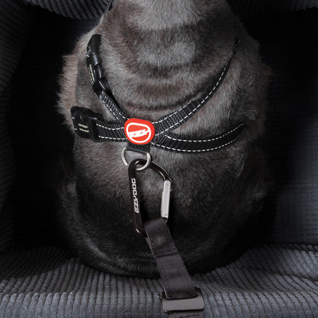 EzyDog Drive Booster Seat for Dogs^^^