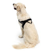 EzyDog Express Black Dog Harness Extra Extra Small^^^