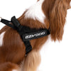 EzyDog Express Black Dog Harness Extra Small^^^