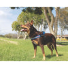 EzyDog Express Red Dog Harness Medium^^^