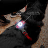 EzyDog Go-2 Dog Safety Light Multicolour^^^