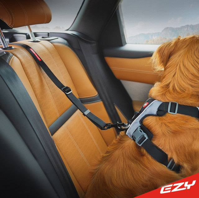 EzyDog Isofix Cargo Click Seat Belt for Dogs^^^