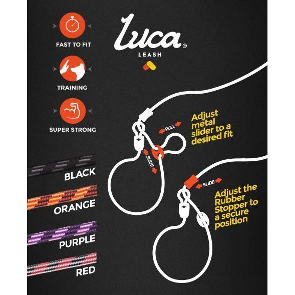 EzyDog Luca Dog Lead Black 6mm^^^