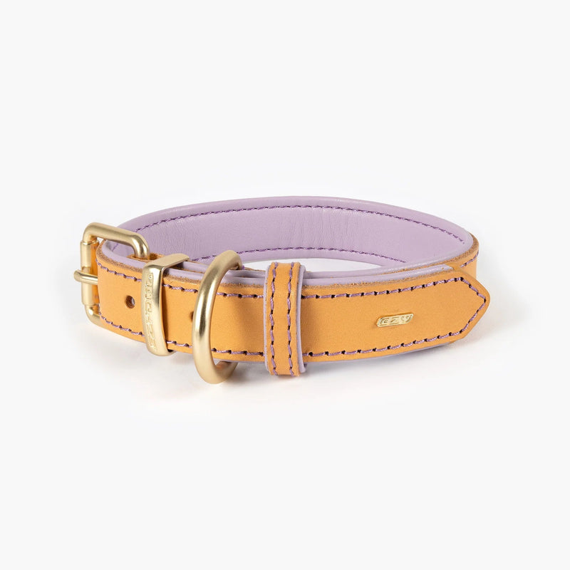 EzyDog Oxford Leather Dog Collar Blonde and Lilac Extra Extra Small^^^-Habitat Pet Supplies