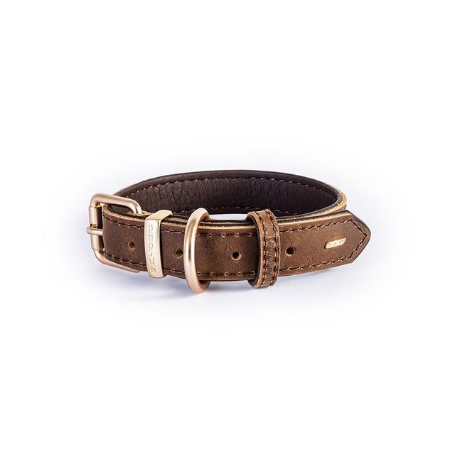 EzyDog Oxford Leather Dog Collar Brown Extra Small<3 <3 <3-Habitat Pet Supplies