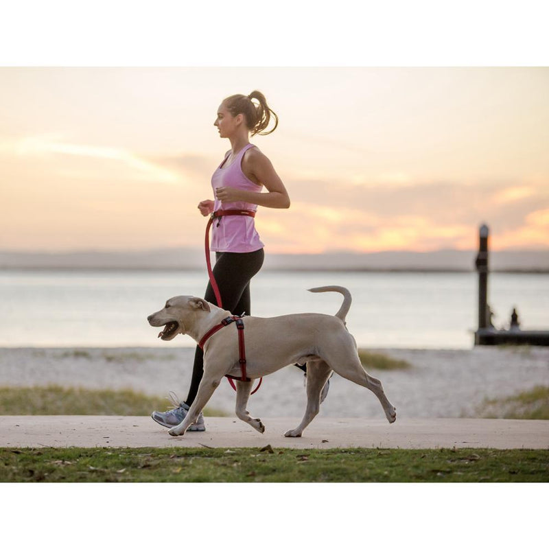 EZYDOG LEASH ROAD RUNNER RED - Habitat Pet Supplies Altona & Chirnside Park