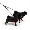 EzyDog Soft Touch Adjustable Coupler Black 35-60cm^^^