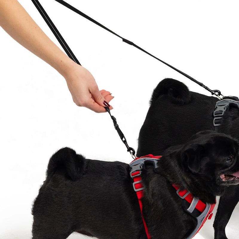 EzyDog Soft Touch Adjustable Coupler Black 35-60cm^^^