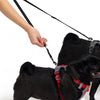 EzyDog Soft Touch Adjustable Lite Coupler Black 35-60cm^^^