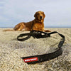 EzyDog Track n Train Dog Lead Black^^^