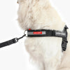 EzyDog Upfront D Ring Accessory for Convert and Express Harness 50mm^^^