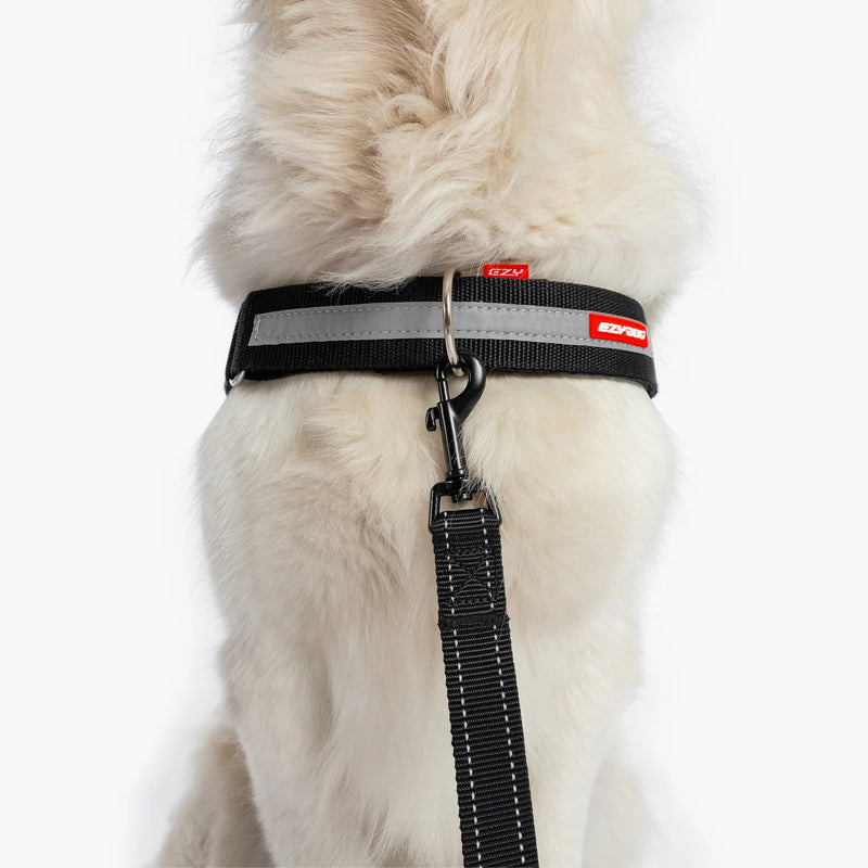 EzyDog Upfront D Ring Accessory for Convert and Express Harness 50mm^^^