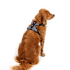 EzyDog X Link Black Dog Harness Extra Large^^^