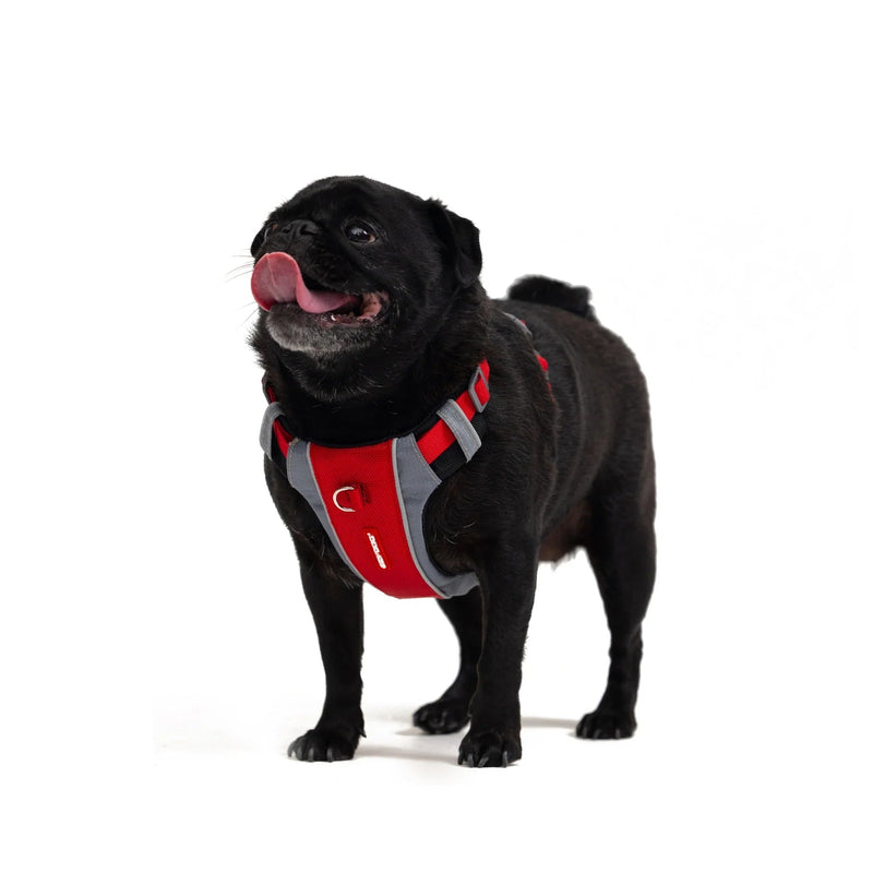 EzyDog X Link Black Dog Harness Extra Large^^^