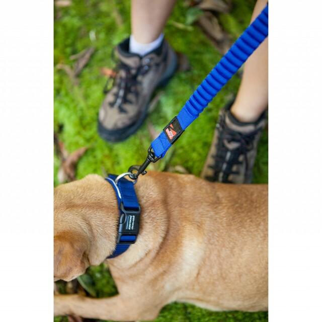 EzyDog Zero Shock Dog Lead Blue Large 48inch^^^