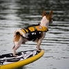 Ezydog Dfd Life Jacket Yellow Micro Extra Small^^^