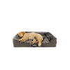 Ezydog Next Gen Ortho Lounger Dog Bed Extra Large^^^