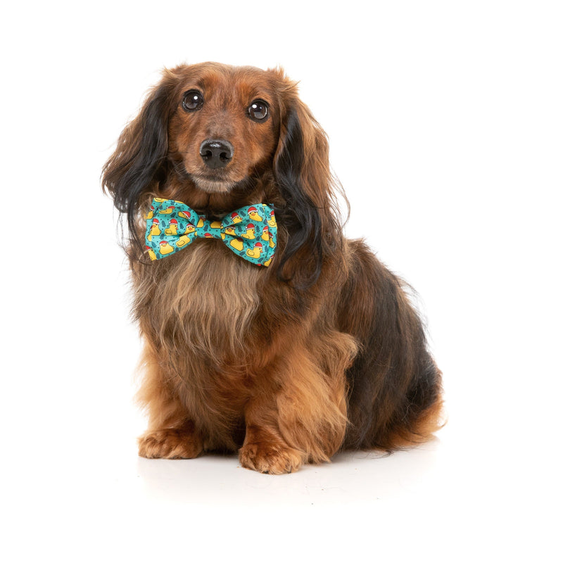 FuzzYard Christmas Merry Quackmas Dog Bandana and Bow Tie Set Medium to Large***