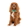 FuzzYard Christmas Merry Quackmas Dog Bandana and Bow Tie Set Medium to Large***