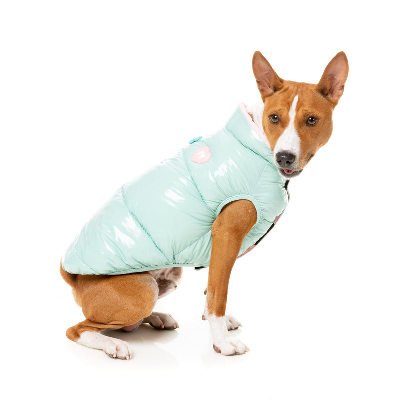 FuzzYard Dog Apparel Amor Puffer Jacket Mint and Pink Size 5^^^